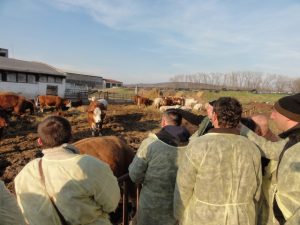 Studijní pobyt bosenských farmářů v České republice