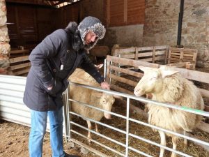 Srbští zemědělci se seznamují s prostředím českých farem