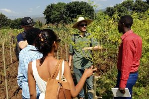 Project Implementation of holistic management and Climate Smart Agriculture in the Baso River catchment, Arba Minch Zuria Woreda, SNNPR, Ethiopia