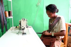 Project Increased employment of young women and men in leather sector through increased quality of technical and vocational trainings and small business support in SNNPR, Ethiopia, 2016-2017