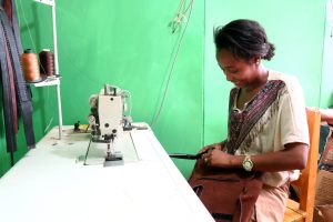 Project Increased employment of young women and men in leather sector through increased quality of technical and vocational trainings and small business support in SNNPR, Ethiopia, 2016-2017